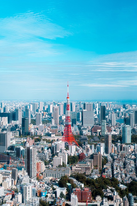 日本单次商务签证