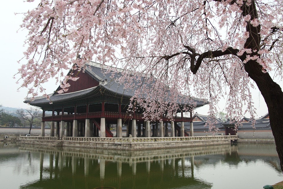 韩国十年多次旅游电子签证·加急办理